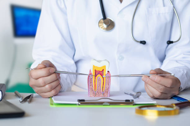 Best Emergency Cosmetic Dentistry in Bull Run Mountain Estates, VA